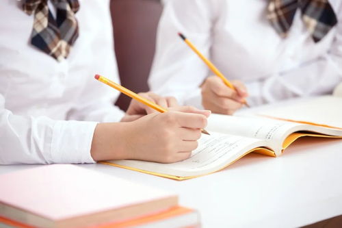 教育部嚴正聲明 警惕虛假信息咨詢，謹防上當受騙
