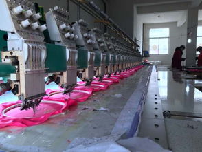 蘇北小鎮(zhèn)的雄心 情趣內衣產業(yè)從“零散”到“鏈條”的整合之路