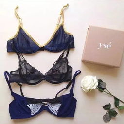 單品推薦 這幾個(gè)顏值逆天的內(nèi)衣品牌，你都穿過(guò)嗎？